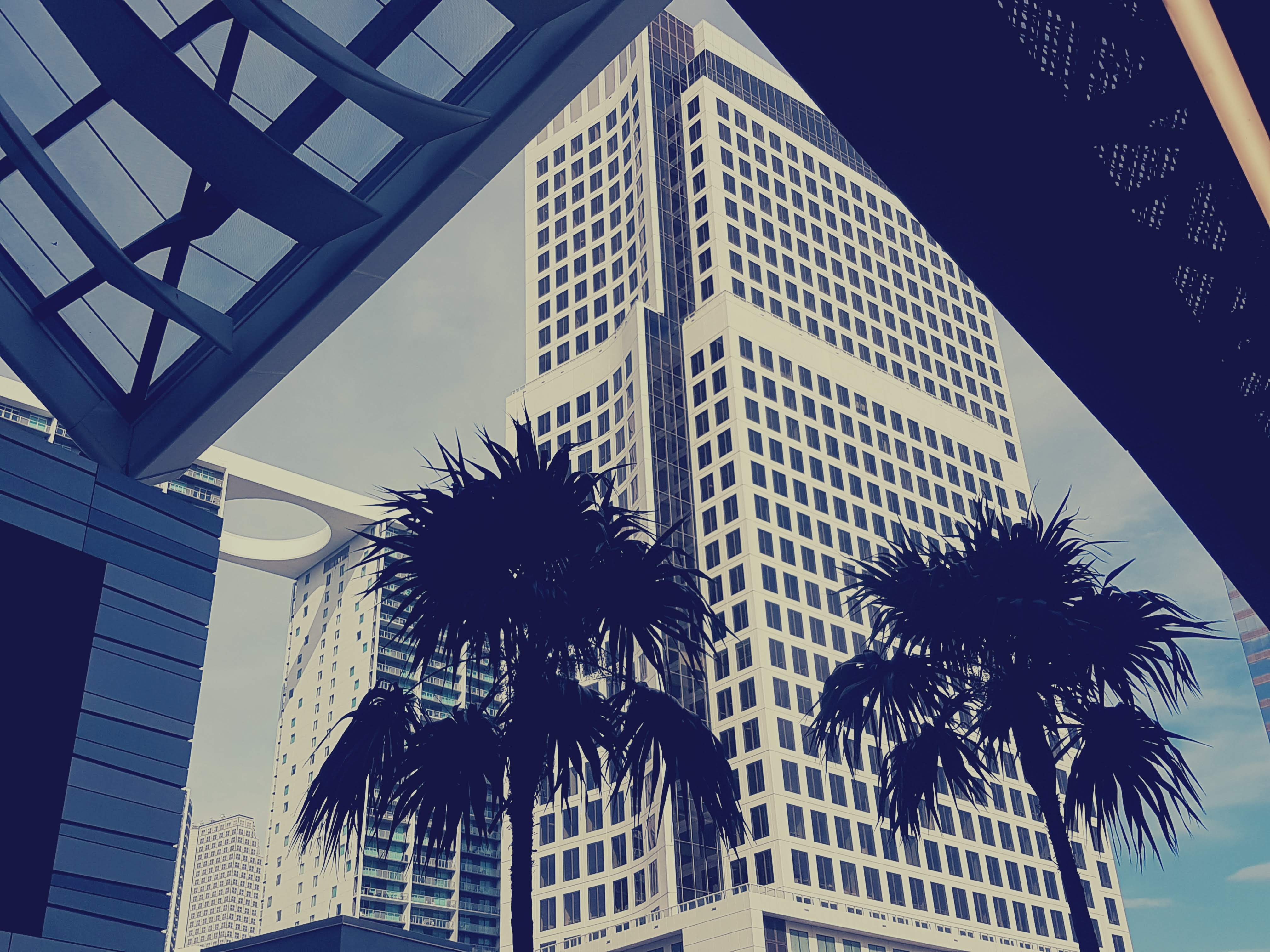 20181102 151623 Salomon