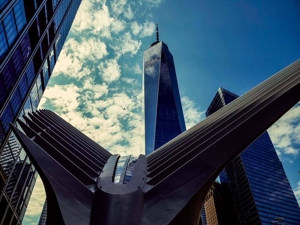 Ny18