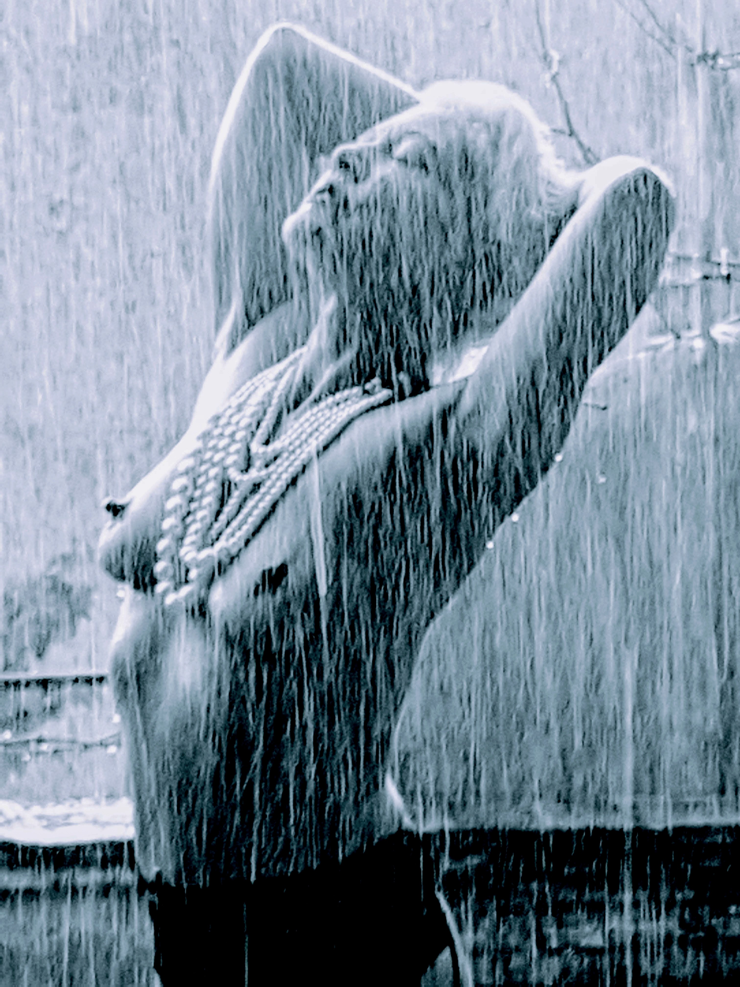 Vava  Venezia  in the rain Rome
