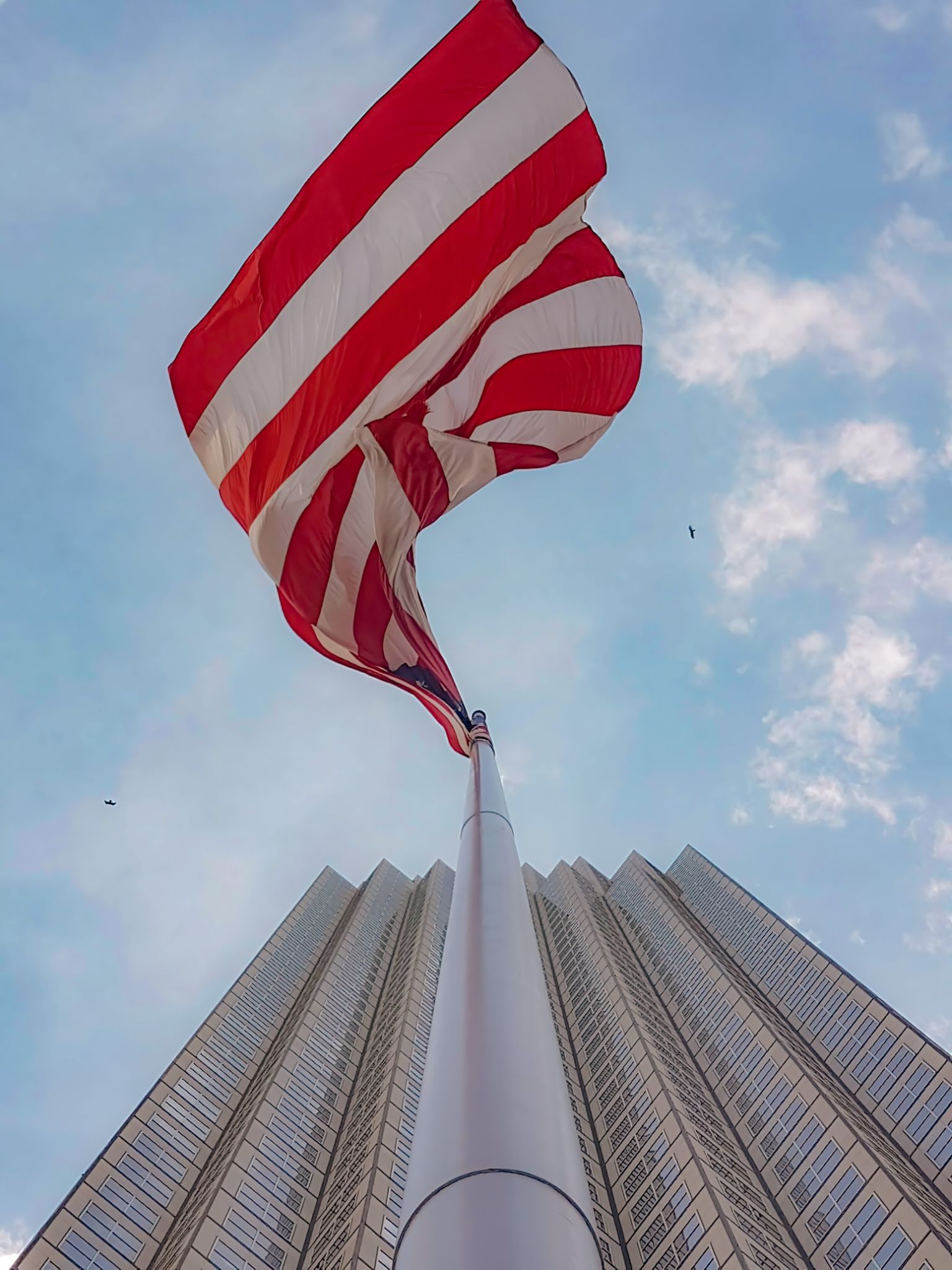 Flag